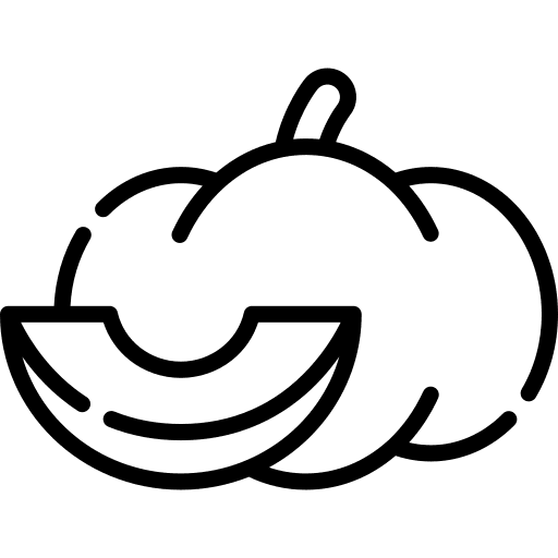 Pumpkin food diet pumpkin icon