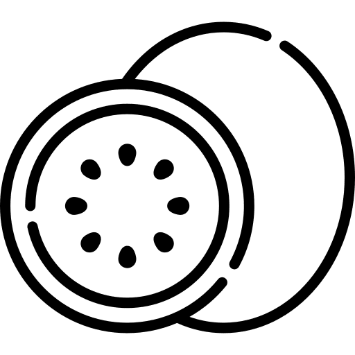 Kiwi vegetarian diet healthy food icon