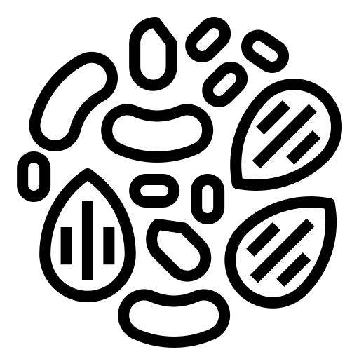 Nuts healthy food nutrition food icon