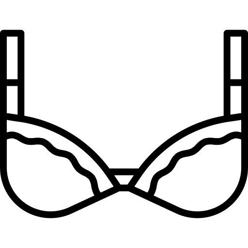 Bra clothing underwear brassiere icon