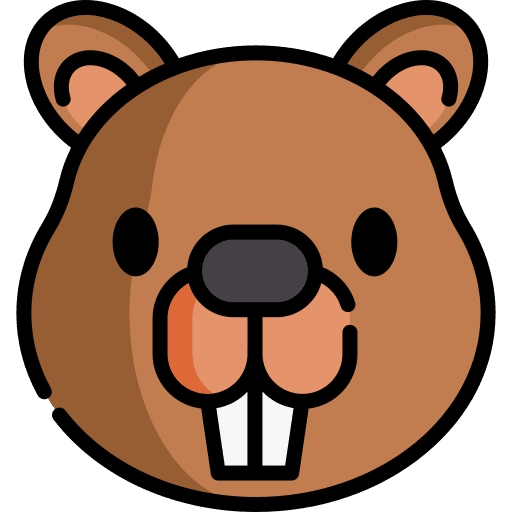 Beaver zoology animal wildlife icon