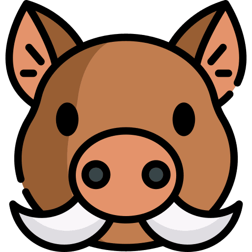 Boar animal animals avatar icon