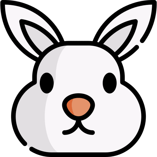 Rabbit animals animal kingdom rabbit icon