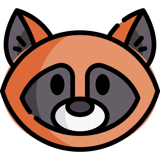 Racoon animal kingdom racoon animals icon