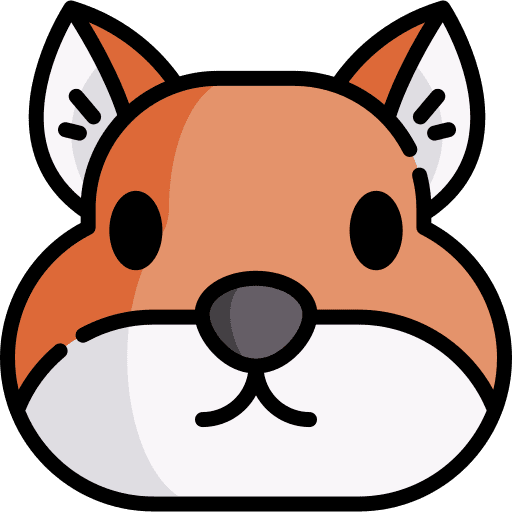 Squirrel animal rodent zoology icon