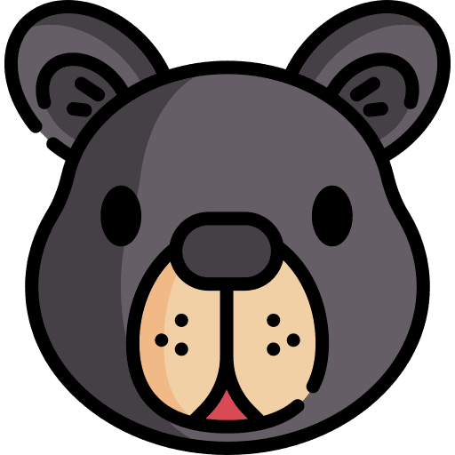 Bear animal bear grizzly icon