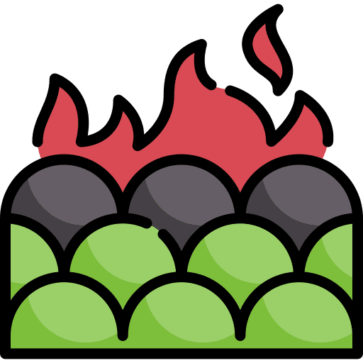 Fire nature tree burning tree icon