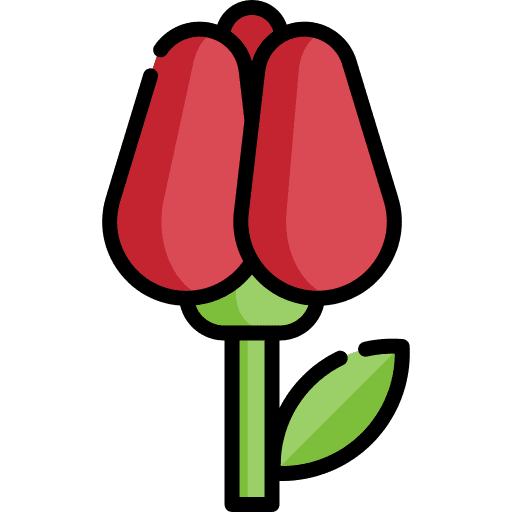 Flower nature petals blossom icon