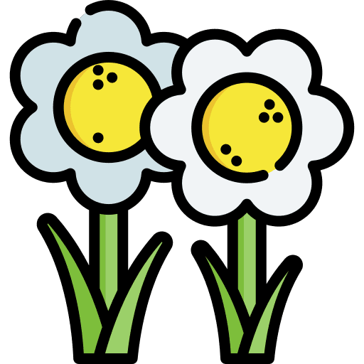 Flowers flower blossom nature icon