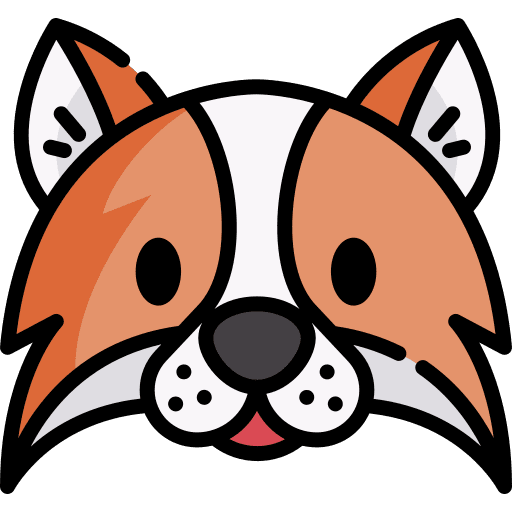 Fox zoology animals wild life icon
