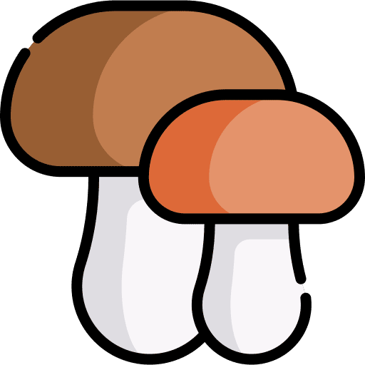 Mushrooms nature muscaria fungi icon