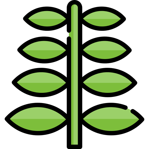 Plant leaf scent aroma icon