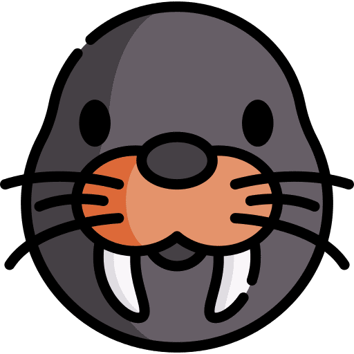 Walrus animal wild life animal kingdom icon