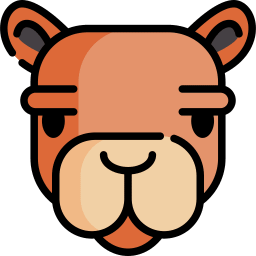 Camel wild life animal animals icon