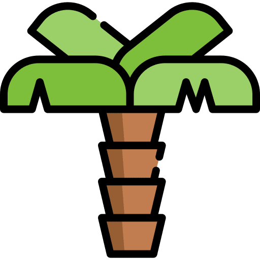 Palm tropical beach summer icon