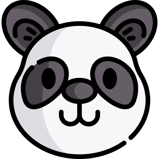 Panda zoology wild life bear icon
