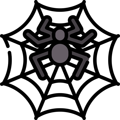 Spider web insect animals entomology icon