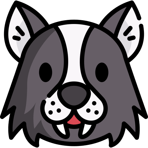 Wolf wildlife zoology avatar icon