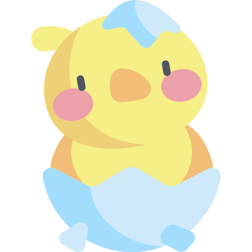 Chick chicken spring chick icon