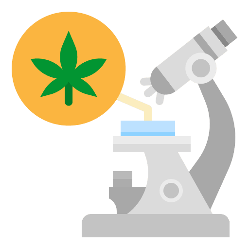 Cannabis cannabis healthcare and medical marijuana icon