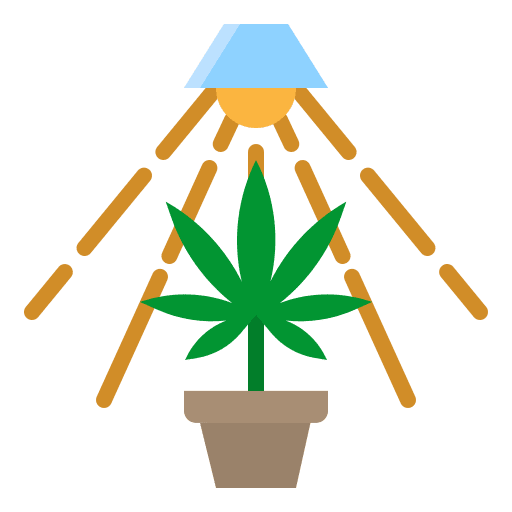 Cannabis weed cannabis cultivation icon
