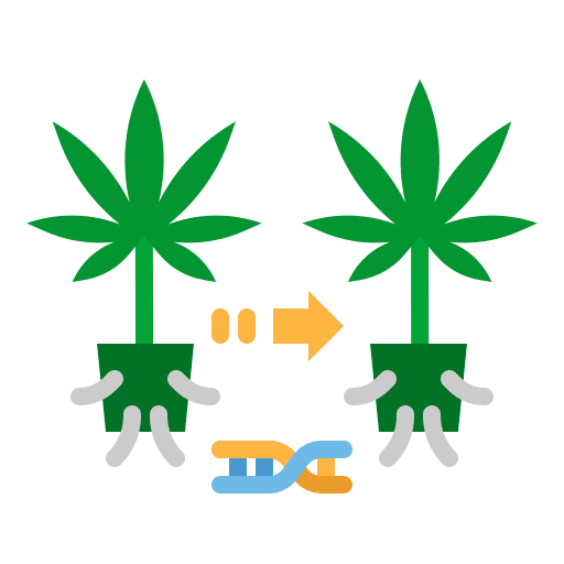 Cloning healthcare and medical marijuana botanical icon