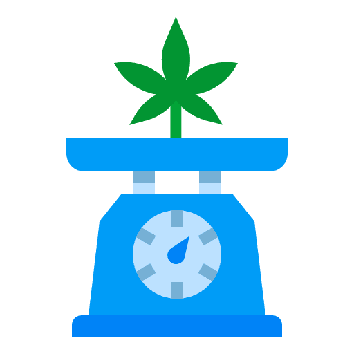 Weighing scale weighing scale marijuana medicinal icon