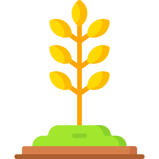 Wheat cereal wheat seeds icon