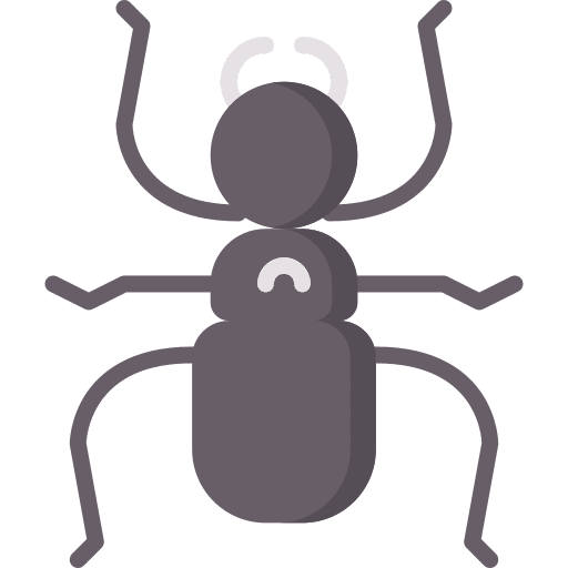 Ant insects animals arthropod icon