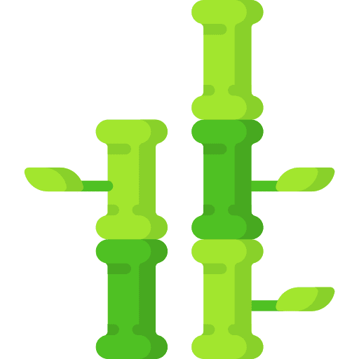 Bamboo plant bamboo botanical icon