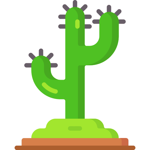 Cactus botanical plants dry icon