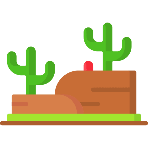 Desert cactus landscape road icon