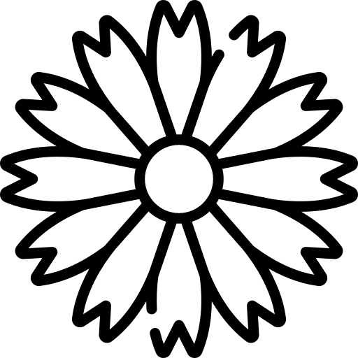 Chamomile aroma flower essential icon