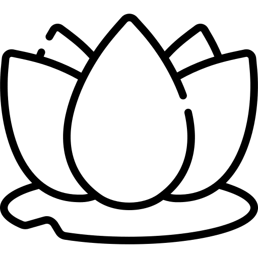 Lotus spa flower lotus icon