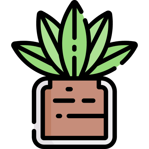 Cactus plant nature botanical icon