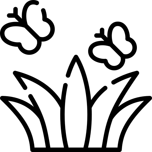 Butterflies butterflies wild life bugs icon