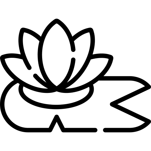 Lily lily lake pond icon