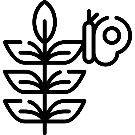 Plant garden plant botanical icon