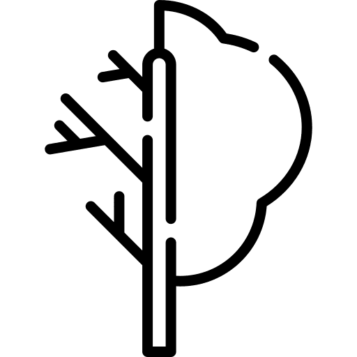 Deciduous tree nature leaves fall icon