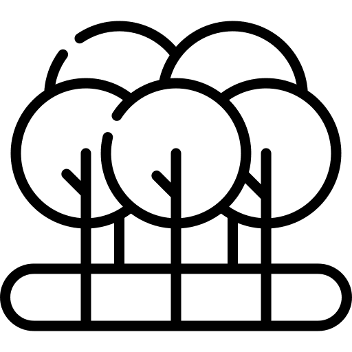 Forest nature forest landscape icon