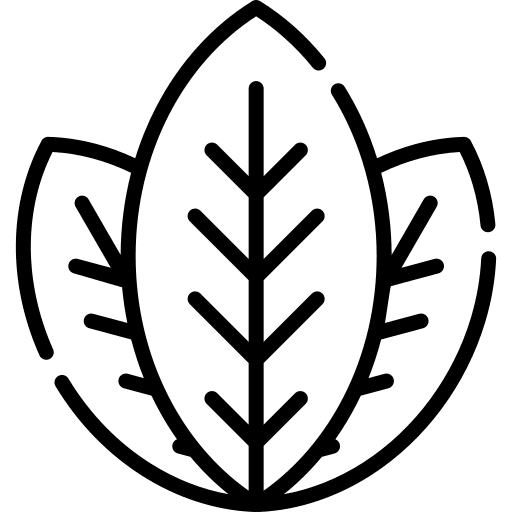 Leaves botanical nature leaf icon