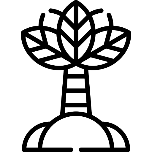 Palm tree plant nature icon