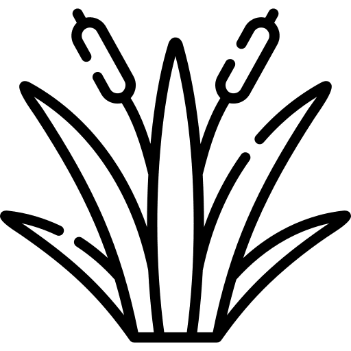 Reeds reed leaf ecology icon