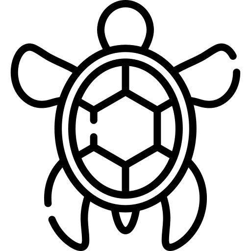 Turtle aquatic animal kingdom turtle icon