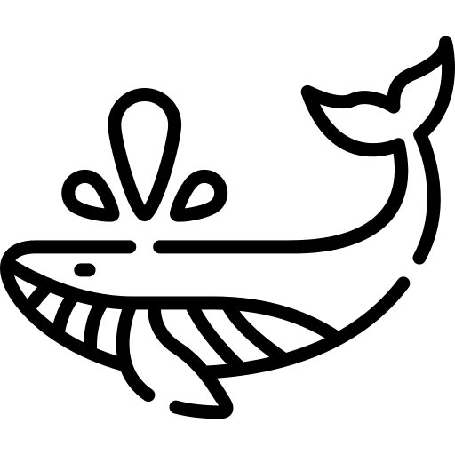 Whale animal kingdom nature sea icon