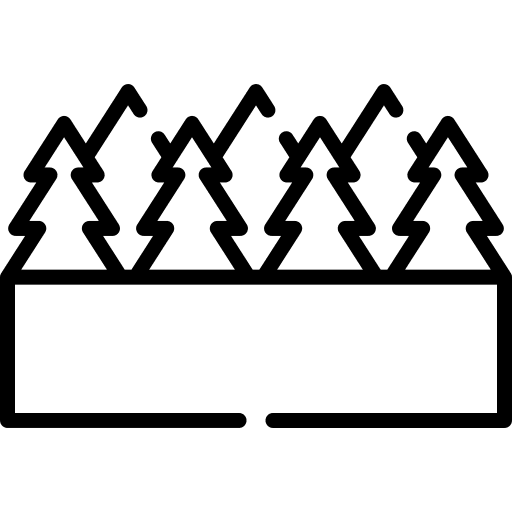 Forest pines botanical nature icon