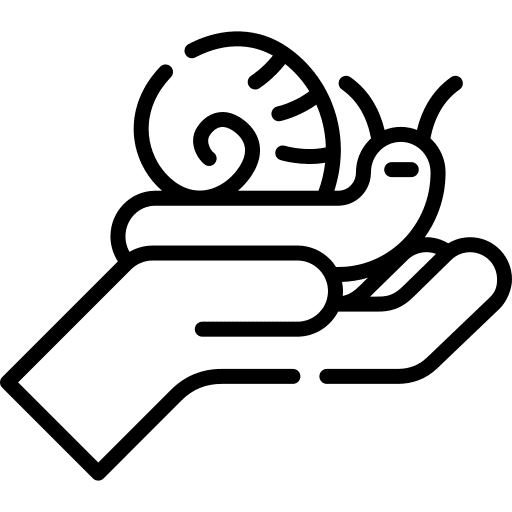 Snail zoo snail animals icon