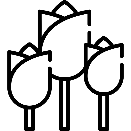 Tulips flower tulips spring icon