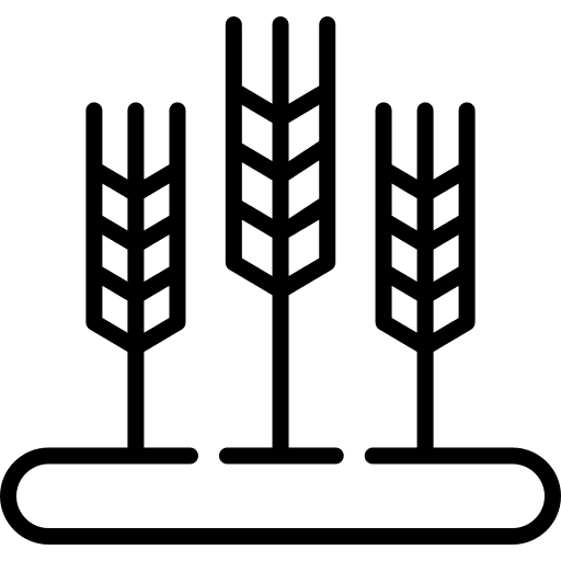 Wheat nature farming and gardening grain icon