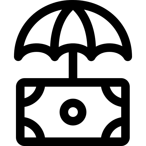 Protection security money protection icon